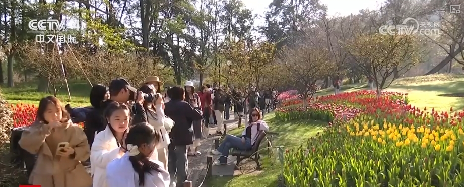 驱动赋能入境游 中高端市场释放多元潜力新葡京“数字+文化+影视+生态”多核(图3)
