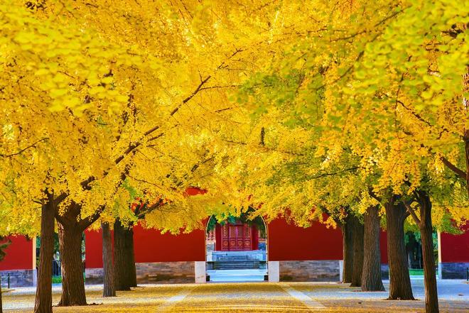 大口碑旅行社！好途旅游零投诉领跑大揭秘澳门新葡京网页2025北京高端定制游十(图2)