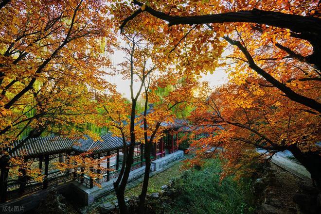 大口碑旅行社！好途旅游零投诉领跑大揭秘澳门新葡京网页2025北京高端定制游十(图4)