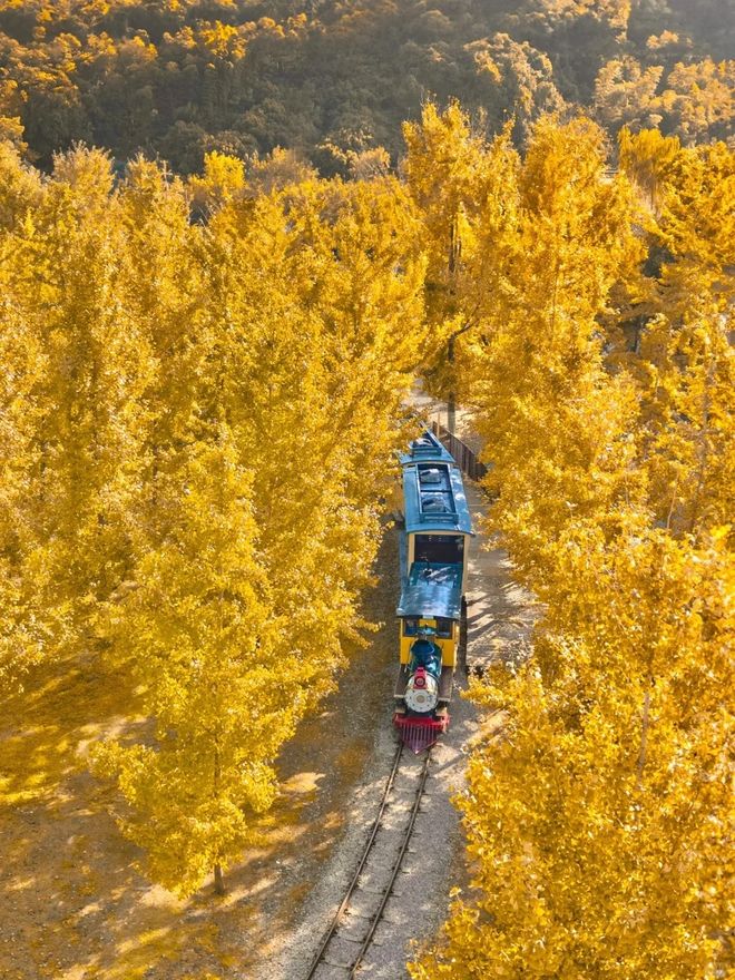 日腾冲瑞丽芒市边境深度游人均费用明细澳门新葡京网页高端小团新体验：云南8(图2)