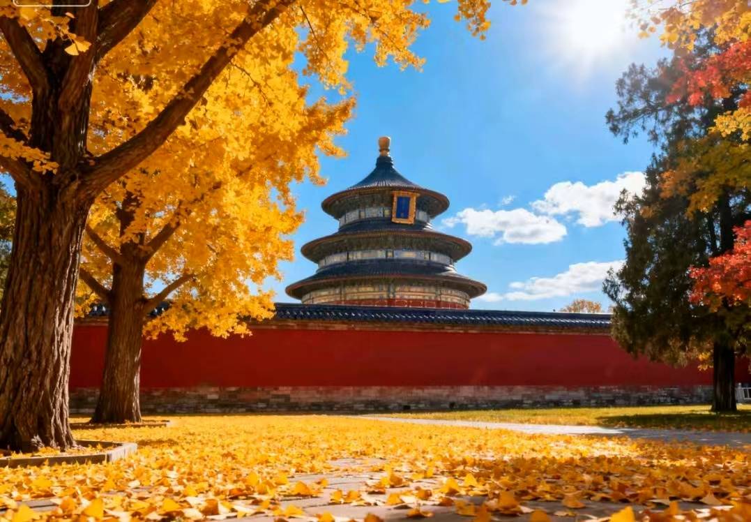 五强揭晓：好途旅游领衔品质旅行新标杆新葡京博彩2025北京高端定制游口碑(图2)