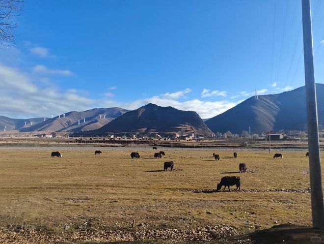 P10 口碑榜！冬季玩雪泡温泉避坑指南新葡京2025 四川冬季旅行社 TO(图5)